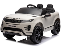 Voiture électrique pour enfants Welldone WDDK-RRE99, 4 roues, en PP, pour l'extérieur, 2-4 ans, moteur 25W*2, batterie 12V4.5AH*1