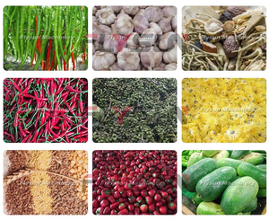 Factory Direct Sale Mango Vegetables Drying Machine Automatic Fruit <b>Dehydrator</b> 304 Stainless Steel High Efficiency Drying - Product Image 4