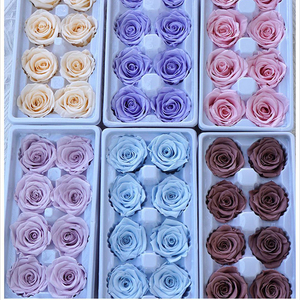 <span class=keywords><strong>Rose</strong></span> Stabilizzate Grado B, 8 Pezzi, 4-5cm, Teste di <span class=keywords><strong>Rose</strong></span> Eterne Naturali Premium, Durata 3-5 Anni, Decorazione Casa - Product Image 2