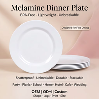 Assiette de table en mélamine blanc pur OEM ODM, vaisselle ronde de 9 pouces à rebord large, incassable pour restaurant, hôtel, buffet, traiteur