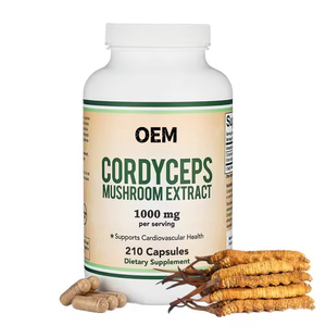 JULONG Supply OEM/ODM Private Label Bio-Cordy ceps Sinensis Myzel pulver extrakt Anpassbare Cordyceps-Extrakt kapsel - Product Image 1