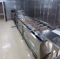 Bellenwasmachine met roestvrijstalen frame voor de productielijn van bonenkiemjes