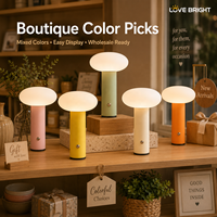 Lampe de table décorative sans fil rechargeable USB-C en PE coloré avec base en fer, 3 températures de couleur et gradation progressive pour chambre à coucher – Idée cadeau