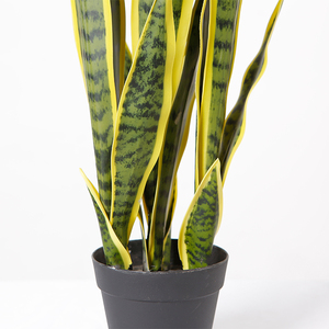 <span class=keywords><strong>Planta</strong></span> <span class=keywords><strong>de</strong></span> <span class=keywords><strong>Lengua</strong></span> <span class=keywords><strong>de</strong></span> Madre <span class=keywords><strong>de</strong></span> la Tierra Artificial Decorativa Personalizable <span class=keywords><strong>de</strong></span> 76 CM - Product Image 5