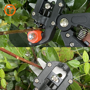 Bộ dụng cụ cắt tỉa cây ăn quả, cây cà chua chuyên nghiệp, kèm dụng cụ ghép cây U/V/<span class=keywords><strong>Omega</strong></span> - Product Image 4