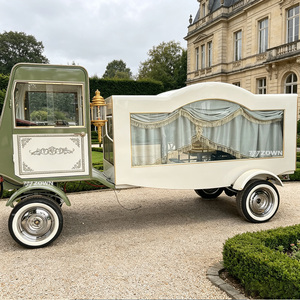 Cercueil transporteur robuste à double essieu avec aménagement intérieur sur mesure pour le transport de cercueils, les cérémonies religieuses et les applications commerciales - Product Image 1