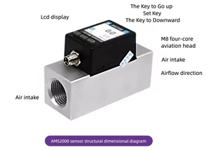 智能数显大量程氧气空气热式气体质量流量计传感器用Ams2000 - Product Image 6