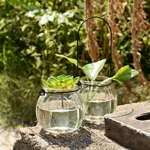 Hanging Transparent Glass <b>Vase</b> <b>Mini</b> Pumpkin Shape Simple Hydroponic Planter For Indoor Gardening Home Decoration - Product Image 4