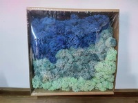 HFloral Naturel Conservé Renne Mousse Supermoss Fond Mur DIY Stabilisé Mousse Hôtel Bureau Décoratif Frais En Gros