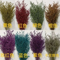 Limonium Stabilisé (Herbe de la Saint-Valentin) Fleur 60-70cm Yunnan pour Arrangements Floraux d'Anniversaire & Décoration Intérieure