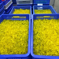 Prix de gros en vrac Nouveauté 2026 Gommes de berbérine pour le soutien à la poudre de berbérine avec cannelle de Ceylan