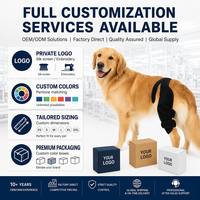 PETSGUARD Attelle Professionnelle pour Genou de Chien, Système de Sangle Dorsale pour L'AVC et L'ACL des Pattes Arrière, en Polyester Respirant Perforé Anti-Rayures