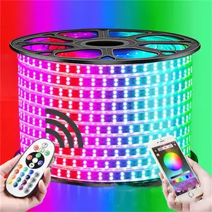 65.6ft 20M BLE Smart duoCo Faixa APP LED Strip Light RGB 5050 Music Sync String Lights Com 24 Teclas de Controle Remoto para Quarto