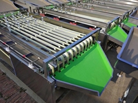 Fruitgewicht sorteermachine, citrusvrucht sorteermachine, fruit- en groentesorteermachine, kastanje sorteermachines