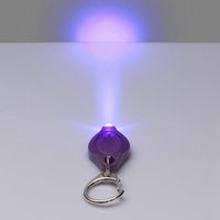빠른 배달 프로모션 사용자 정의 로고 365-400nm 미니 Led 손전등 키 체인, 미니 UV 라이트 키 체인