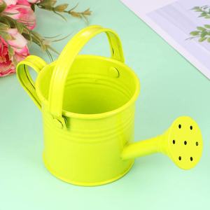 Metalen Tuin Gieter 2 Gallon Rvs Handvat - Product Image 6