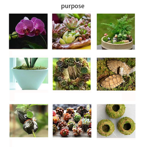 56H orchidée sol spécial mousse de mousse sèche mousse naturelle pure Phalaenopsis nutriment reptile <span class=keywords><strong>tortue</strong></span> pad matériel dendrobium plantation - Product Image 2