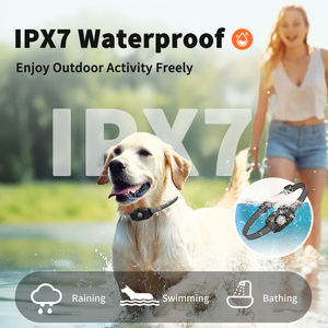 TIZE-<span class=keywords><strong>Collar</strong></span> de entrenamiento para perros con luz LED, resistente al agua, pitido, vibración, recargable, de largo alcance, 2600 pies, IPX6 - Product Image 6