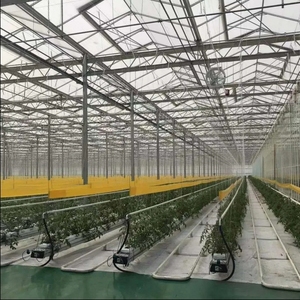 Invernadero de vidrio grande agrícola <span class=keywords><strong>Precio</strong></span> Invernadero de vivero hidropónico solar comercial con sistema de cultivo de <span class=keywords><strong>lechuga</strong></span>/tomate - Product Image 3