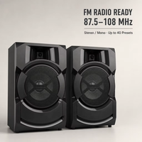 Système audio DJ sans fil 300W x 2 pour enceintes colonne, idéal pour bars, cafés, ordinateurs et téléphones portables avec lecture USB