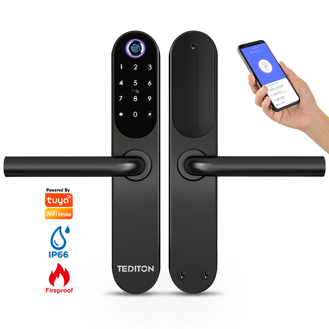 Tediton Tuya App Waterproof Fireproof Stainless Steel Smart Door Lock Compatible With Europe Australia Mortise