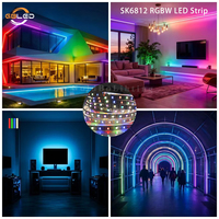 Tira de LED RGBW SK6812 al por Mayor, 5V 60LEDs/M, Direccionable, IP65 IP67, Resistente al Agua, Iluminación Navideña para Exteriores, CE RoHS OEM