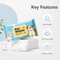 Lingettes nettoyantes pour animaux de compagnie OEM 99% EDI Pure Water, 80 lingettes, douces, non irritantes pour chiens et chats, viscose polyester biodégradable
