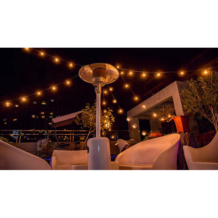 HQ G40 25LT String Light - Personalized Christmas Garden LED Lights by Hua Qing Lighting