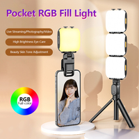 Lampe de poche RVB pliable portable 3 couleurs, lumière portative 2500-6500K, batterie 1000mAh, contrôle par application pour Vlog YouTube TikTok
