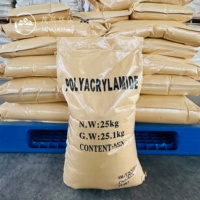 Floculant polyacrylamide PAM à haute efficacité, agent chimique auxiliaire pour le traitement des eaux usées municipales, produits chimiques pour le traitement de l'eau