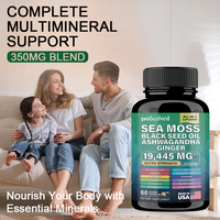 Capsules de Mousse de Mer en Gros, Supplément Shilajit et Crinière de Lion, Marque Privée pour la Santé Intestinale et Immunitaire
