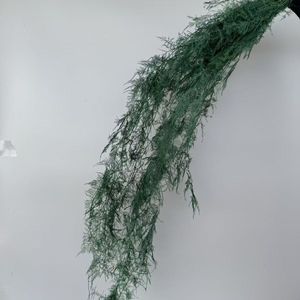 Yunnan Vente en gros Asperges conservées Fleurs de fougère pour la fête de mariage et décor de <span class=keywords><strong>maison</strong></span> Saint Valentin et Pâques Faveurs de mariage - Product Image 6