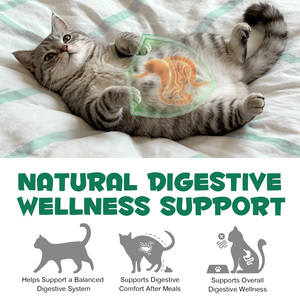 Carbón Activado en Polvo de Grado Alimenticio Oimmal para Perros, Gatos <span class=keywords><strong>y</strong></span> Todas las Mascotas, Carbón para Perros, Envenenamiento, Salud Digestiva - Product Image 5