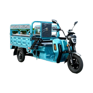 Triciclo a tre ruote per mobilità urbana efficiente <span class=keywords><strong>e</strong></span> motore Trike per il trasporto di merci - Product Image 5