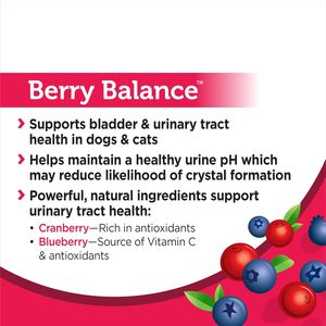 Friandises à mâcher à la canneberge pour la santé des voies urinaires et complément naturel pour les soins de la vessie des chiens de petite et grande taille - Product Image 5
