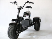Sepeda Listrik Roda Tiga Citycoco Bersertifikasi EEC 2000W Rangka Aluminium Ban Lebar Baterai Lithium 60V Rem Cakram Motor Tanpa Sikat