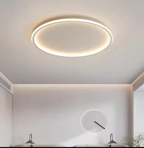 ultra Thin <b>Led</b> Flush Mount Indoor Lamps Bedroom Modern Design Acrylic Round <b>Ceiling</b> Lamp <b>for</b> <b>Living</b> <b>Room</b> - Product Image 3