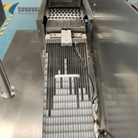 Machine automatique de comptage et de remplissage de tubes de comprimés effervescents de type rotatif