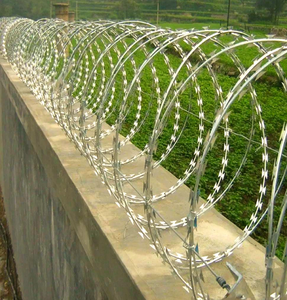 Alambre de púas tipo concertina de acero inoxidable galvanizado, alambre de seguridad antirrobo para protección de límites - Product Image 4