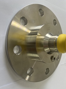 VEGAPULS 69 Lens Antenna Radar Level for Use in Various Scenarios From Large Bulk <b>Storage</b> Sheds to <b>Tall</b> Silos - Product Image 5