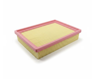 Filtre à air d'origine SAIC MG, référence OEM 30059199, pour MGGS MGHS