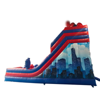 Tobogán Inflable Doble de Último Diseño, Tobogán Inflable Gigante Seco en Venta