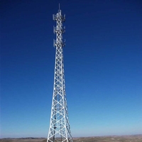 Tour de treillis angulaire de mât de télécommunication d'antenne radio de jambon mobile cellulaire sans fil de télécom