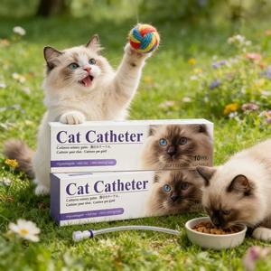 Kedi Kateteri Veteriner Üriner Kateter/Toptan Yumuşak Evcil Hayvan İdrar Kateteri/Stiletli Yüksek Kalite - Product Image 5