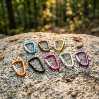 Vente en gros de mousquetons d'escalade en alliage d'aluminium de diamètre 7,2 mm, type D, taille 8, accessoires de plein air, boucle de sécurité