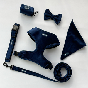 Kedatangan Baru <span class=keywords><strong>2026</strong></span> Premium Mewah Berkualitas Tinggi Fashion Tanpa Tarikan Dapat Disesuaikan Logo Kustom Set <span class=keywords><strong>Harness</strong></span> Beludru untuk Kucing dan Anjing - Product Image 5