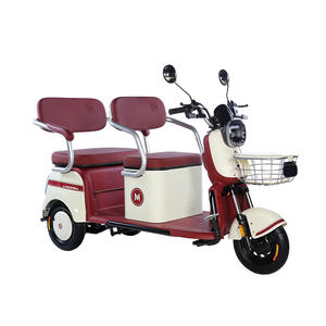 Triciclo eléctrico <span class=keywords><strong>de</strong></span> 60V al por mayor, ciclomotor <span class=keywords><strong>de</strong></span> <span class=keywords><strong>carga</strong></span>, práctico vehículo motorizado <span class=keywords><strong>de</strong></span> tres ruedas abierto para <span class=keywords><strong>alquiler</strong></span> <span class=keywords><strong>de</strong></span> pasajeros en sitios turísticos - Product Image 1