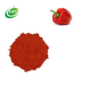 Koscheres Halal-Zertifikat Hochwertiges Paprika pulver