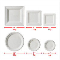 Dîner de fête écologique Plaques de bagasse en pulpe de canne à sucre avec séparateur pour service alimentaire