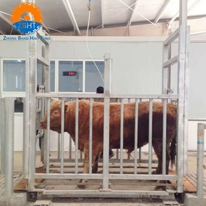 Equipo <span class=keywords><strong>para</strong></span> Mataderos de Ganado Halal, Solución Integral, Desde el Diseño Hasta la Comisión, Maquinaria <span class=keywords><strong>para</strong></span> Mataderos de Vacas, Proyecto Llave en Mano, CE - Product Image 2